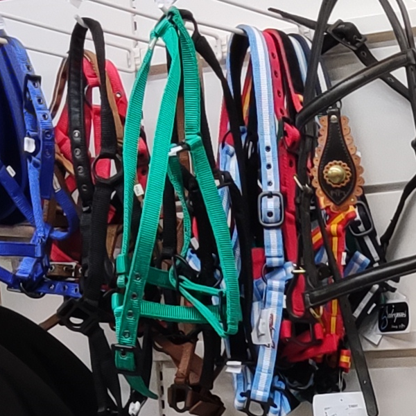 Accesorios